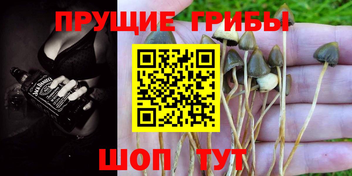Галлюциногенные грибы мицелий Орск