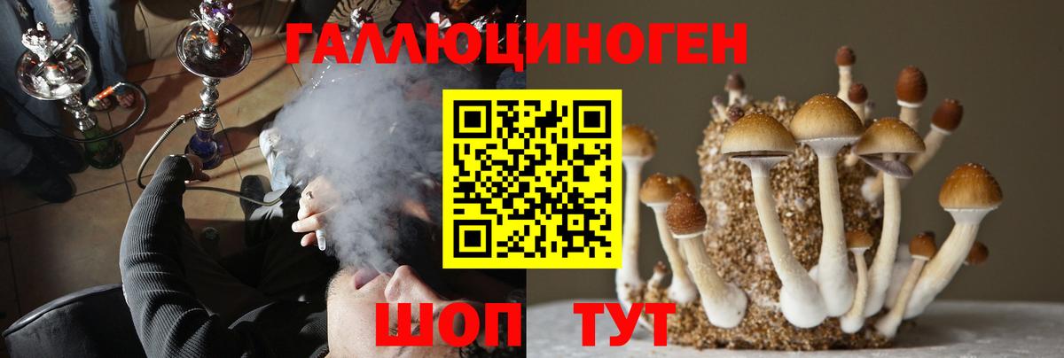 Орск  Галлюциногенные грибы Psilocybe  Вход с VPN  Галлюциногенные грибы Psilocybe 