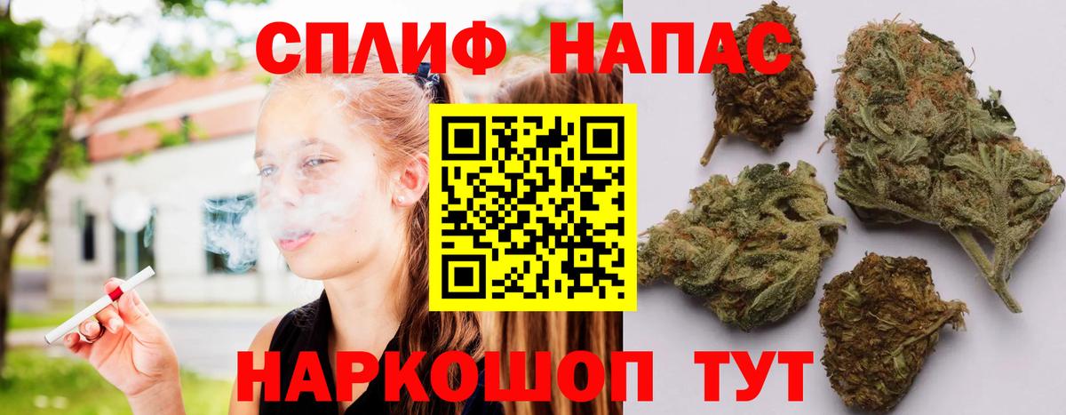Канабис сатива Орск